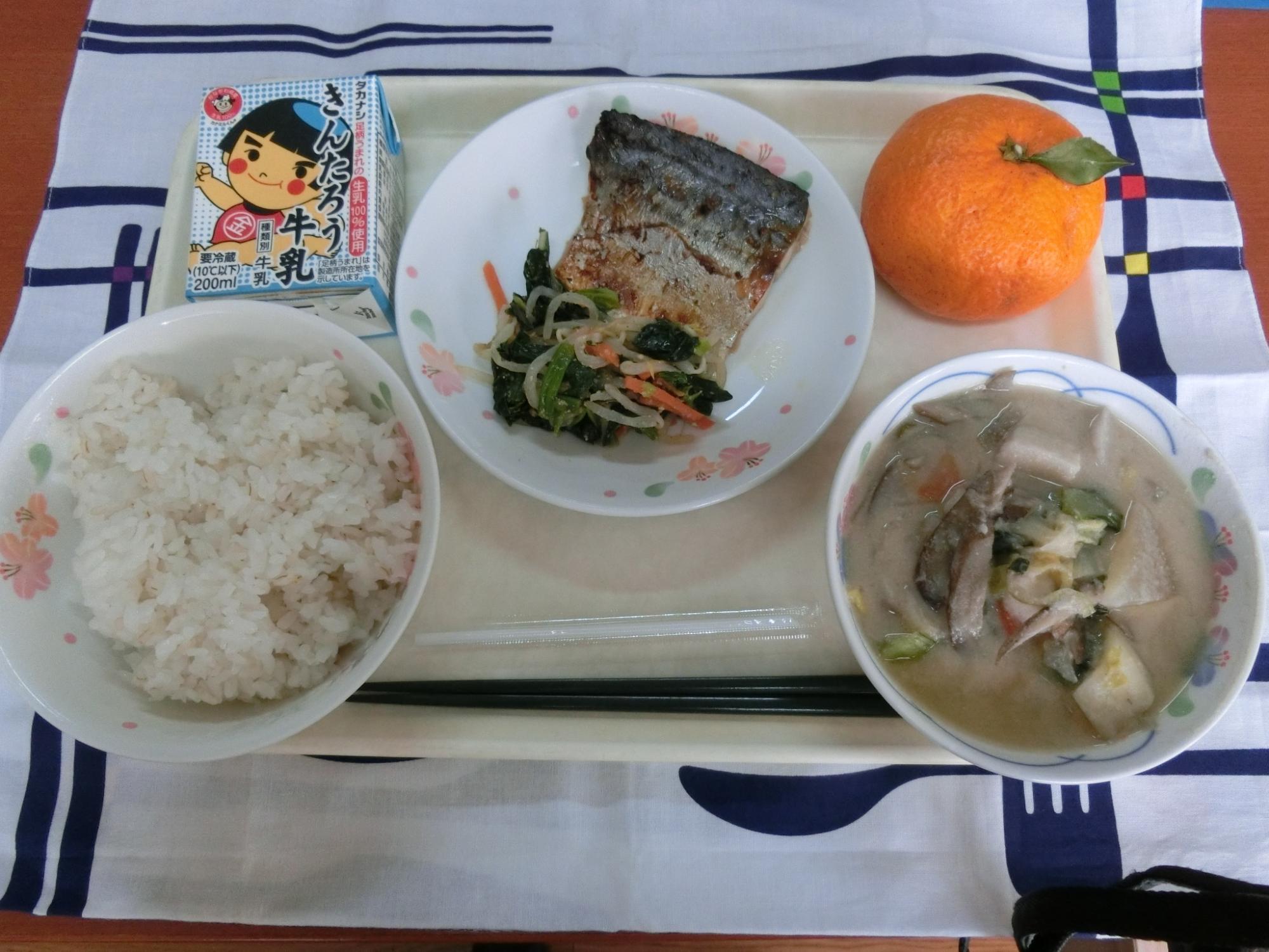 230203kyuusyoku