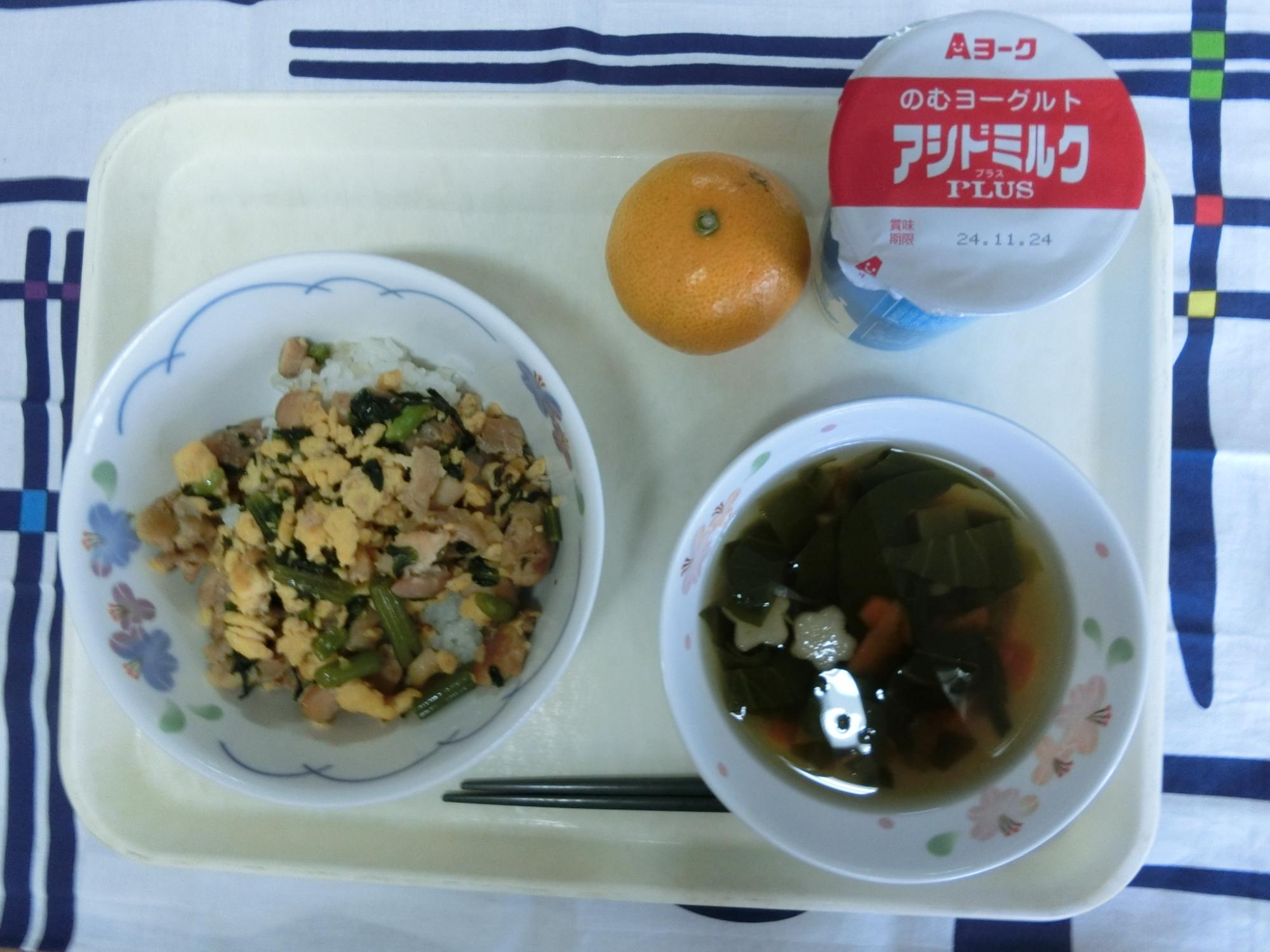 241113kyuusyoku