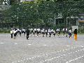 大繩・黄
