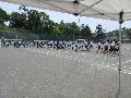 幼稚園児と３年生