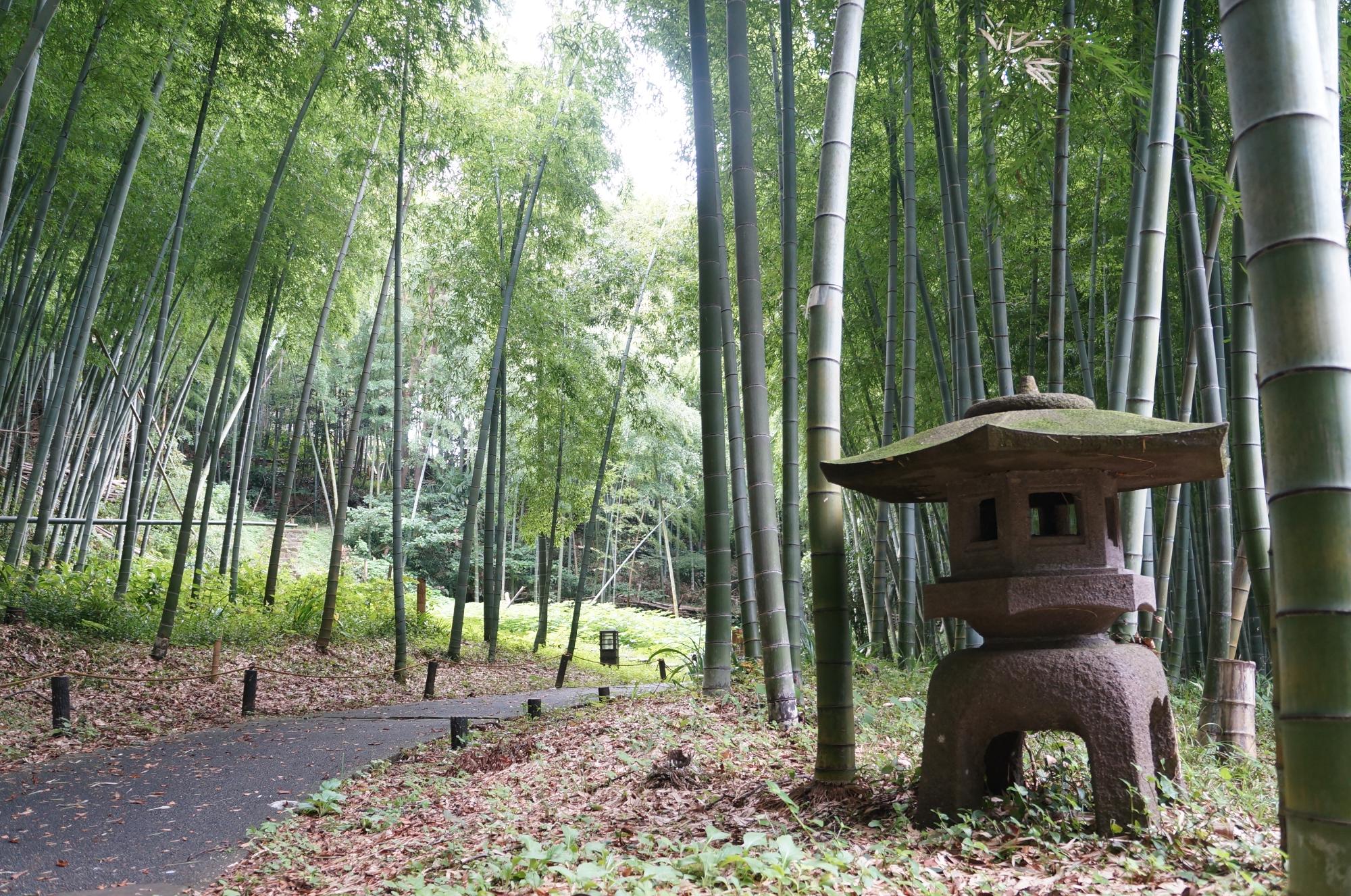 荒井城址公園