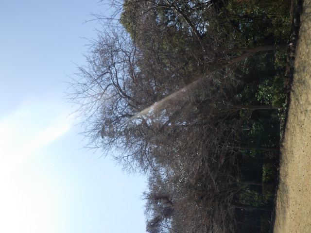 2026展望公園3月27日2